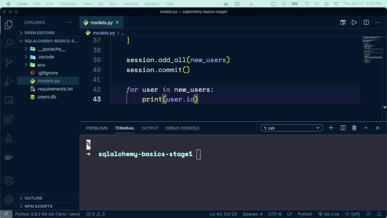 Update, Rollback, and Delete (How To) | SQLAlchemy Basics | Treehouse