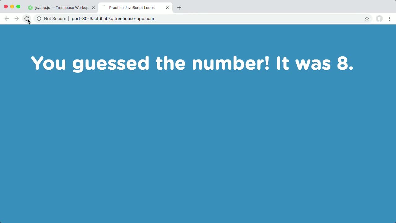 Practice JavaScript Loops