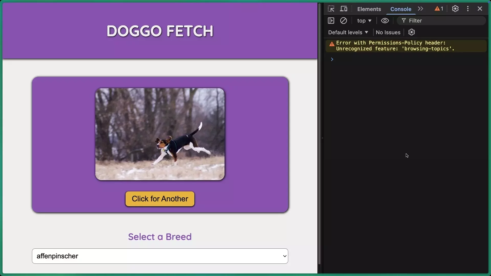 Fetching and Displaying Images (How To) | JavaScript Data Fetching ...