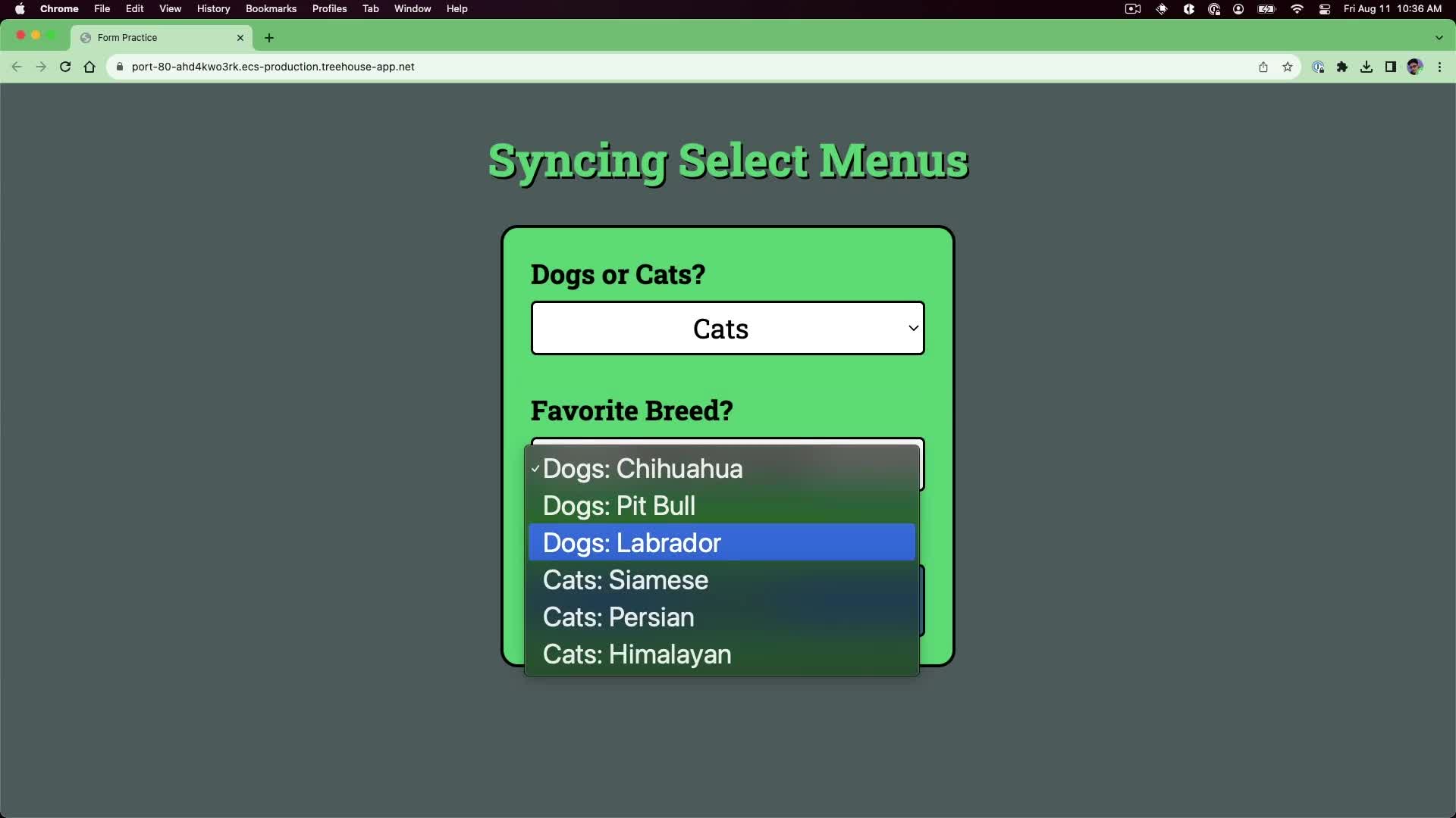 Practice Dynamic Select Menus